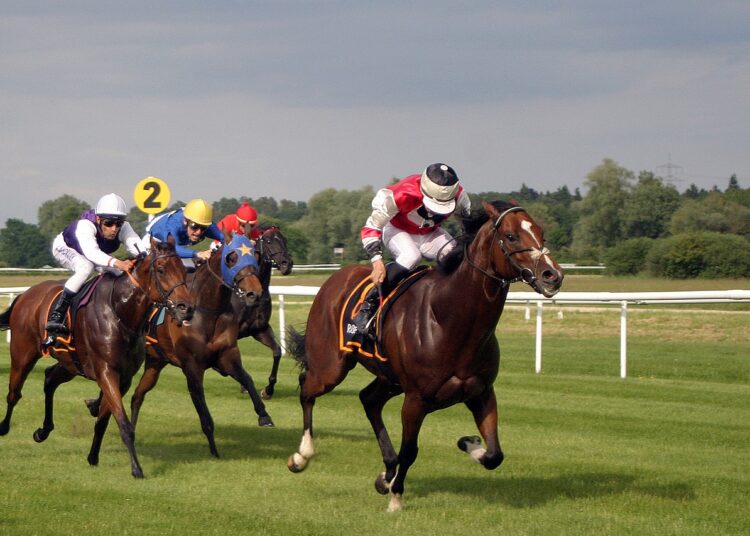 Popular Myths Related to Horse Racing